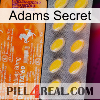 Adams Secret new05